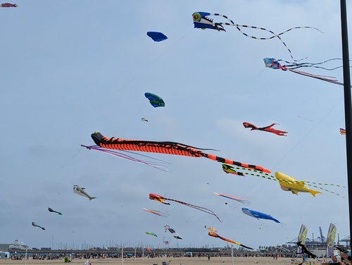 The exhibition kites in the Malvarossa beach